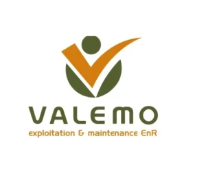 VALEMO-LOGO-1